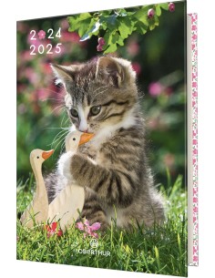 Agenda chaton drole